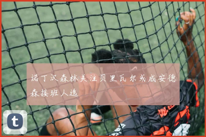 诺丁汉森林关注贝里瓦尔或成安德森接班人选
