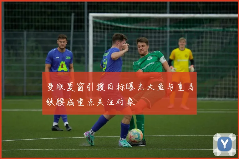 曼联夏窗引援目标曝光大鱼与皇马铁腰成重点关注对象